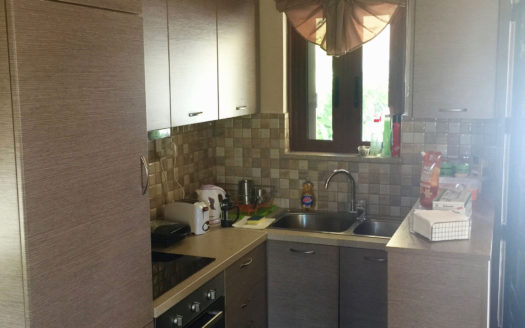 For sale two independent houses that are built on an area of 5 acres, in the area of Rouga-Paliampela Aitoloakarnania