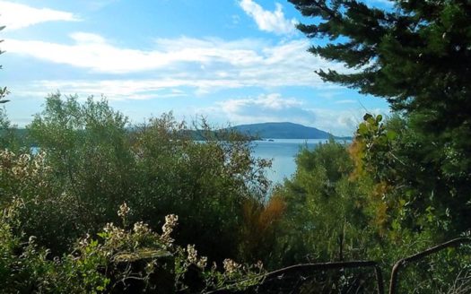 ΠΩΛΕΙΤΑΙ ΟΙΚΟΠΕΔΟ 880 τμ ΣΤΟ ΠΕΡΙΓΙΑΛΙ ΛΕΥΚΑΔΑΣ, ΕΠΙ ΔΗΜΟΤΙΚΟΥ ΔΡΟΜΟΥ, ΠΡΟΣΟΨΗΣ 17,5 μ