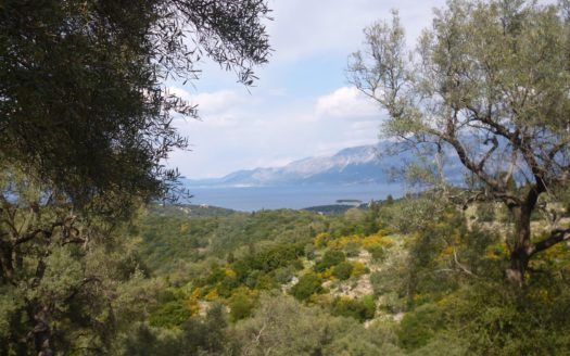 ΠΩΛΕΙΤΑΙ ΣΤΟ ΜΕΓΑΝΗΣΙ ΑΓΡΟΤΕΜΑΧΙΟ 3271,96 τμ