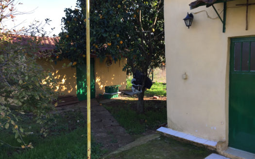Οικόπεδο στον Μύτικα με εμβαδόν 634 τμ