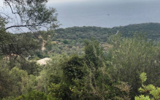 Αγροτεμάχιο 5767τμ στη Λευκάδα με θέα θάλασσα