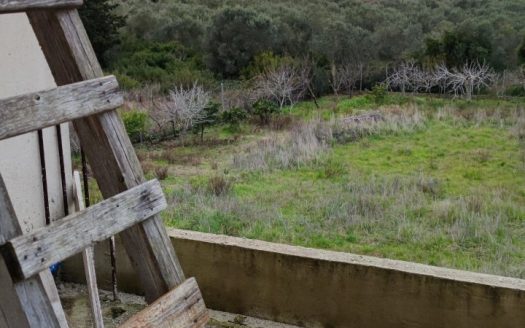 Πωλείται στο Νεοχώρι διώροφη οικοδομή σε οικόπεδο  4 στρεμμάτων