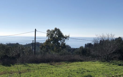 Πωλείται αγροτεμάχιο εμβαδού 5798,81 τμ στην παραλία Καστροσυκιάς με θέα θάλασσα