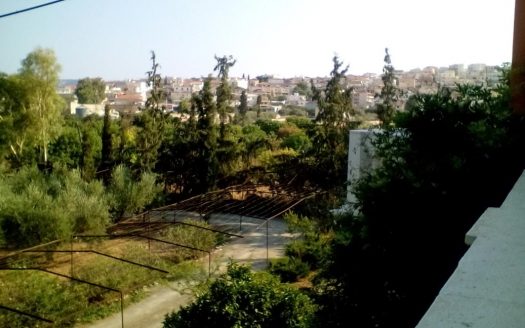 Villa for sale in Ermioni built in the heart of an olive grove