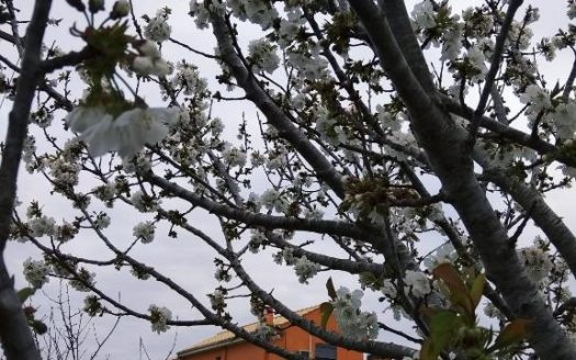 FOR SALE detached house with a total area of 180 sq.m. 2 levels on a plot of land of 4000 m2 in Preveza