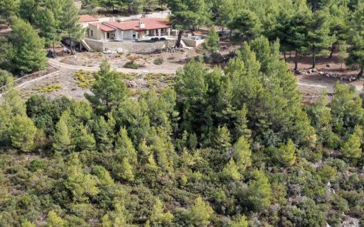πωλείται μονοκατοικία στη περιοχή Μαλακάσα χτισμένη σε κτήμα 11.5 στρεμμάτων