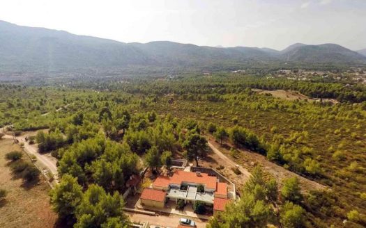 πωλείται μονοκατοικία στη περιοχή Μαλακάσα χτισμένη σε κτήμα 11.5 στρεμμάτων